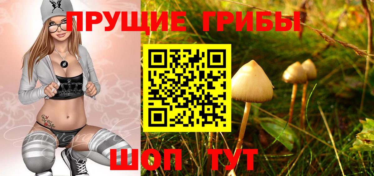Кувандык  Псилоцибиновые грибы ЛСД  Вход с VPN 
